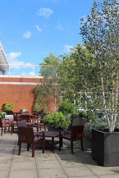 John-King-Brain-Tumour-Foundation-Garden-3-scaled