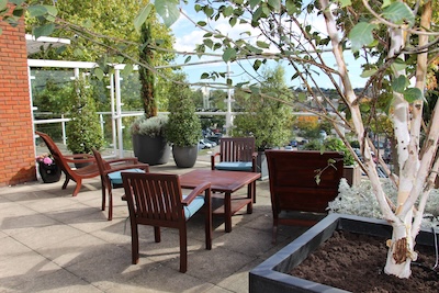 John-King-Brain-Tumour-Foundation-Garden-5-scaled
