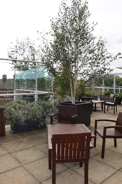 John-King-Brain-Tumour-Foundation-Garden3